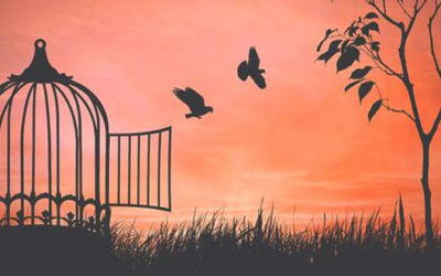 Money is Easy, Freedom is Hard